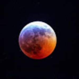 Meet your Posher, Martin